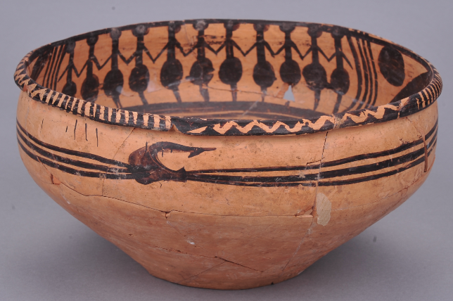 1556248664870139.png 1.png