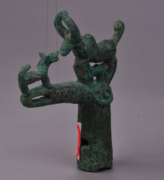 1556248763490683.png 2.png