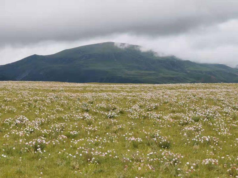 1564294019640806.jpg 10b87c802e5b53cc4779c821f2babdd.jpg