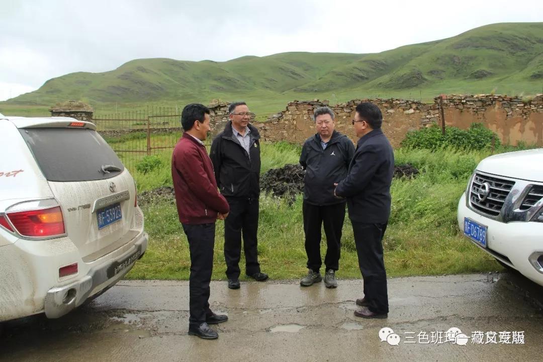 1565765593975778.jpg 1.jpg