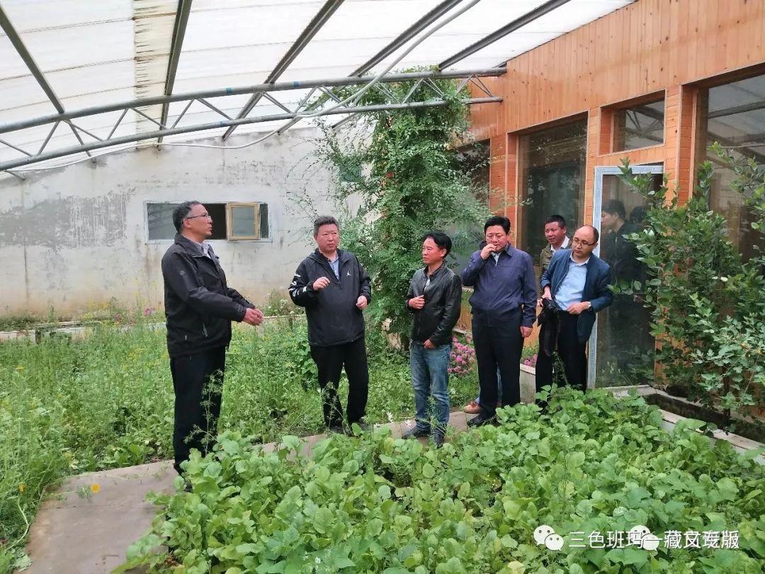 1565765637232857.jpg 3.jpg