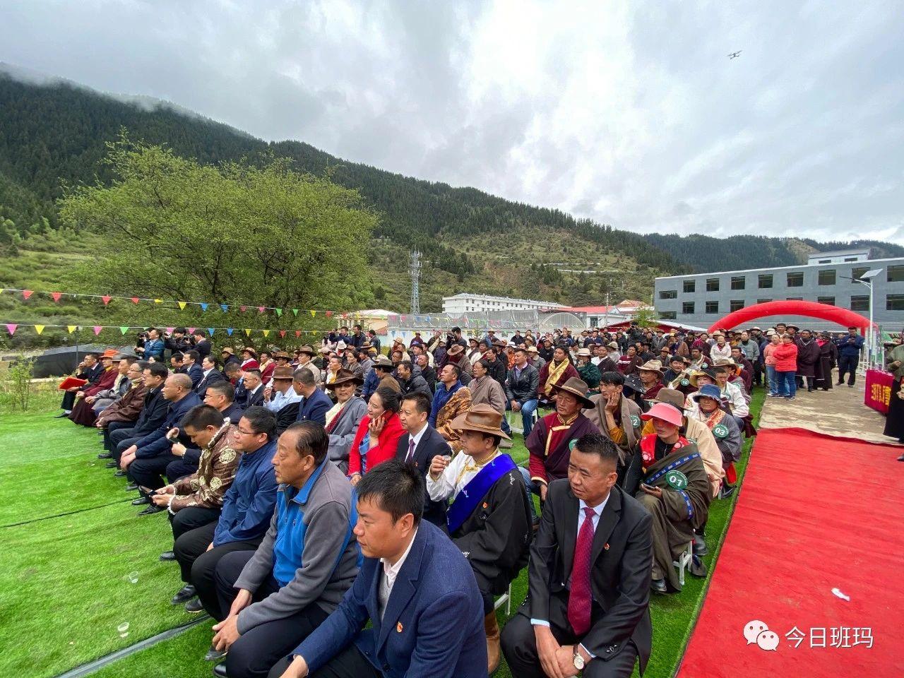 1591581791273867.jpg 3.jpg