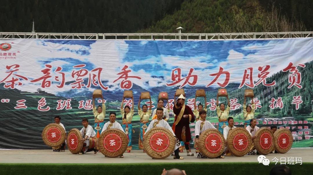 1591581816631637.jpg 5.jpg