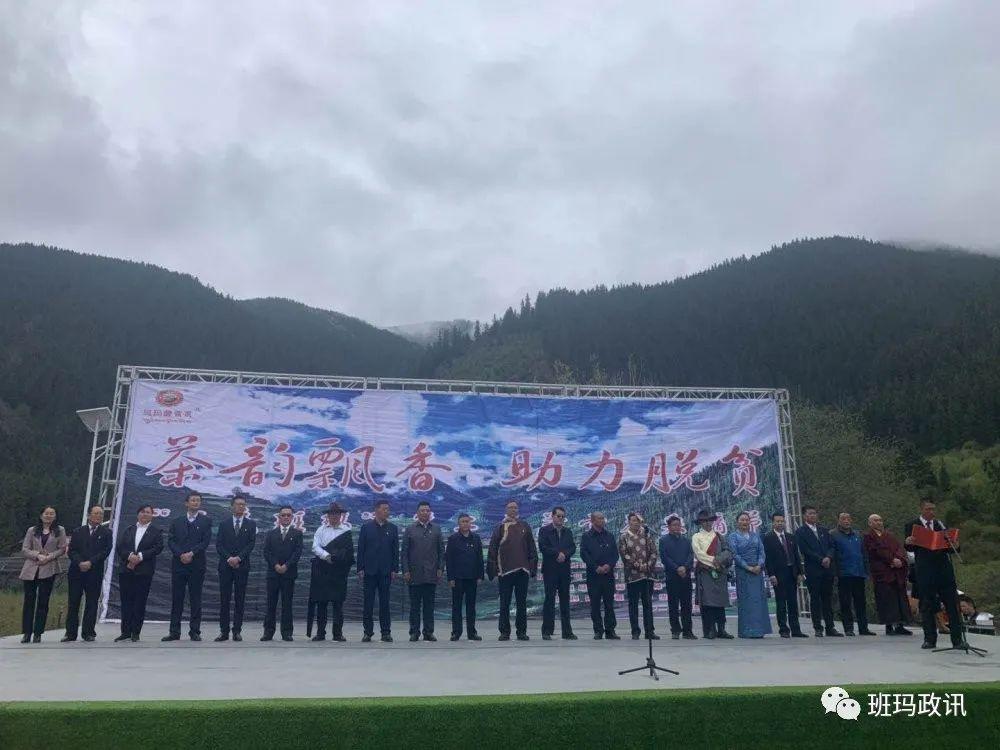 1591679507123113.jpg 1.jpg