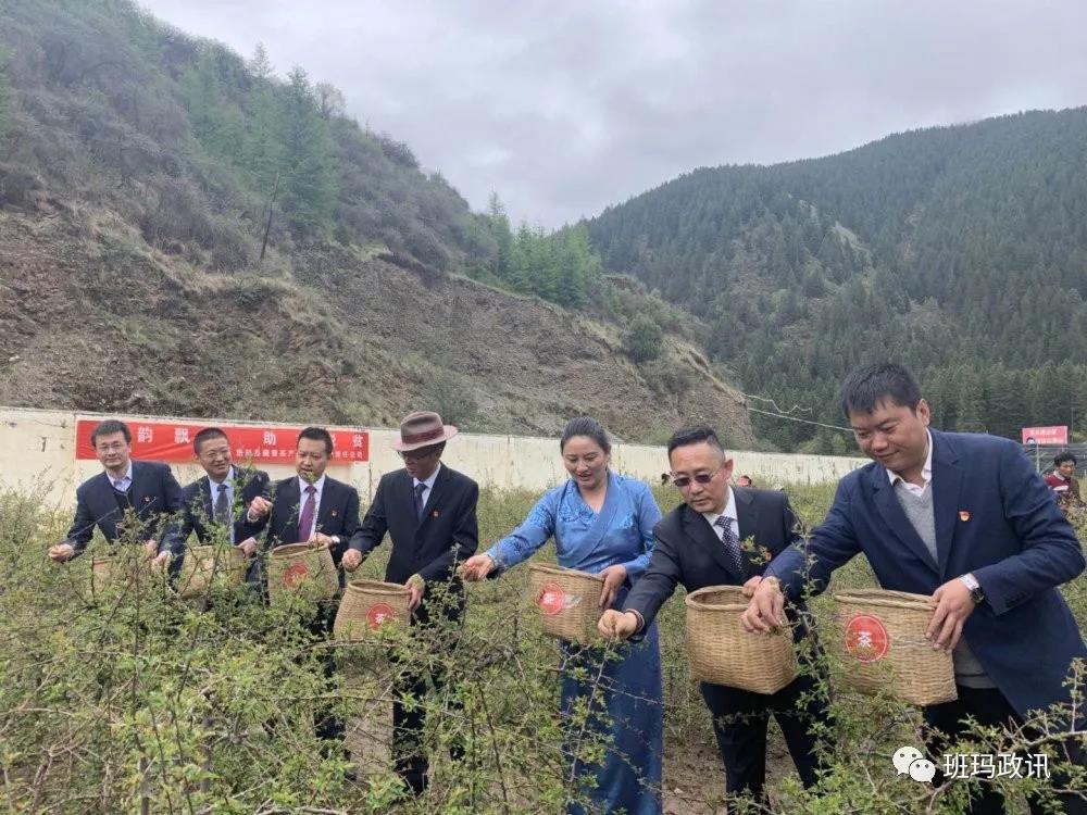 1591679619215688.jpg 9.jpg