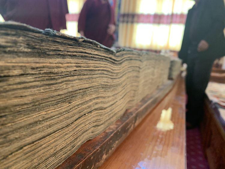 1592185521213295.jpg 1.jpg