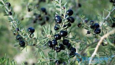 1477982955707900.jpg u=2853396438,412101956&fm=21&gp=0.jpg