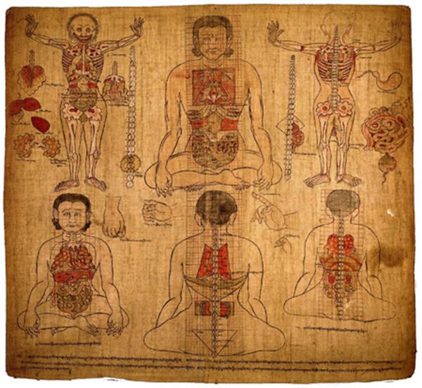 藏醫治療學 藏醫藥理療法 藏醫治療學 藏醫藥理療法