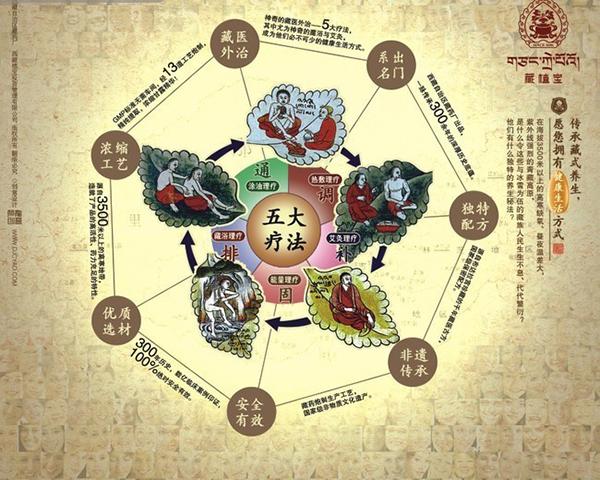 藏醫治療學 藏醫藥理療法 藏醫治療學 藏醫藥理療法