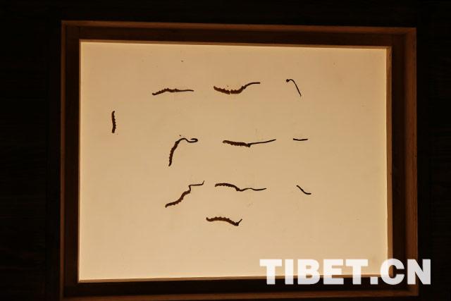 1529548337873902.jpg W020180620712987556023.jpg